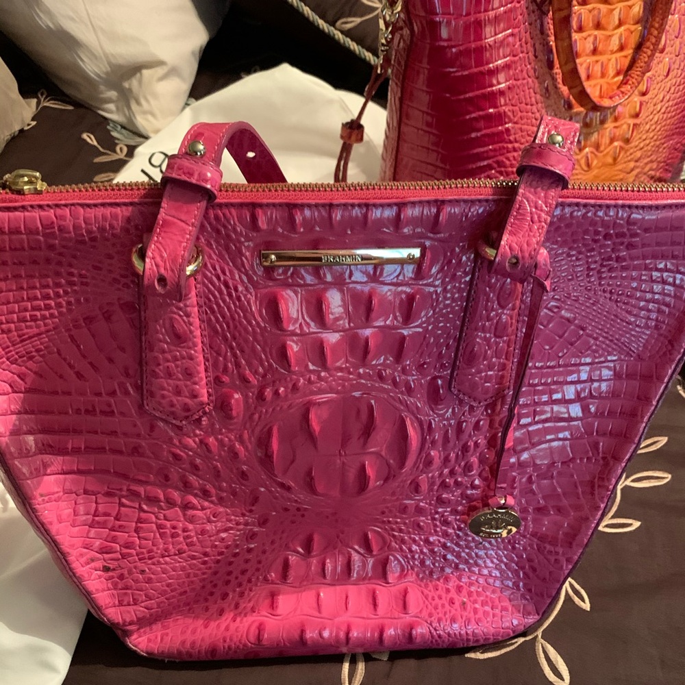Brahmin purse